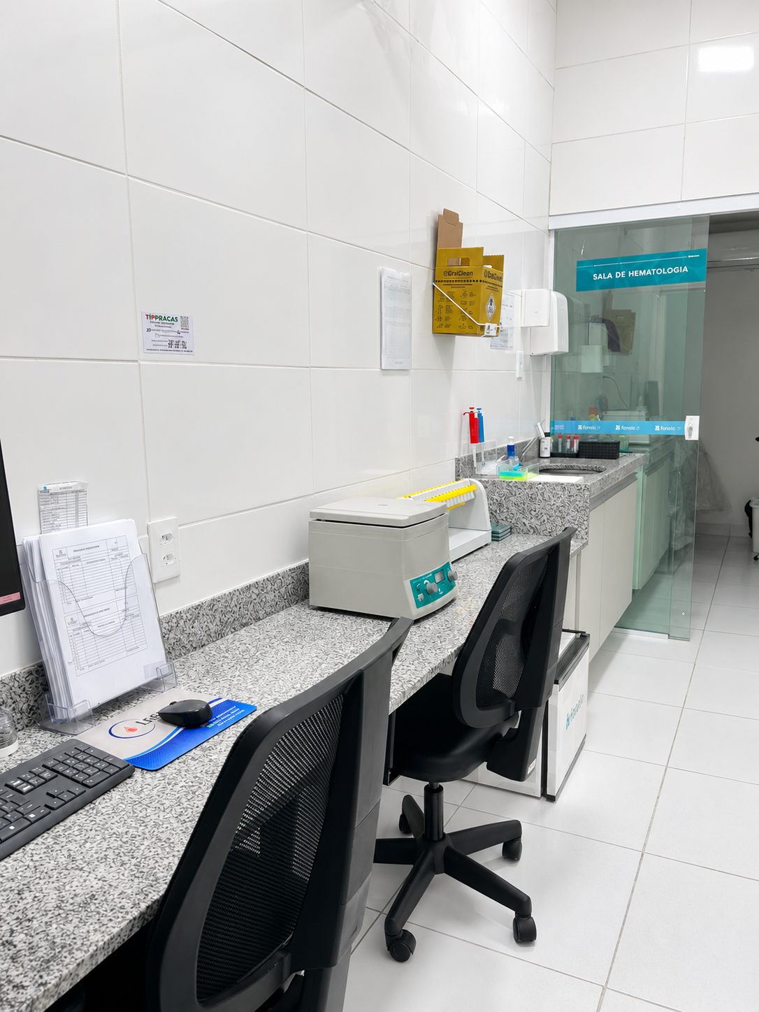 Estrutura do Fonolab